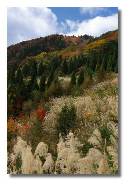 Solitary Journey ［1281］ 秋の風景を楽しむ♪西中国山地が色づき始めました。＜‘恐羅漢山’の草紅葉（くさもみじ）＞広島県安芸太田町