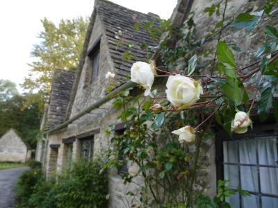 ロンドン一人旅★3日目 日帰りコッツウォルズ編
