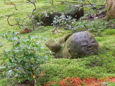 雨の大原三千院