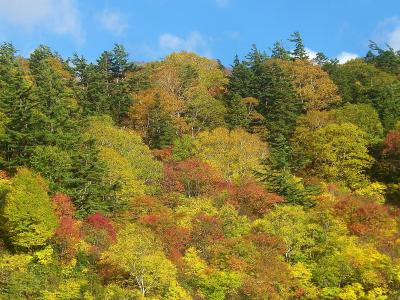 みちのくふたり旅　頑張っぺ東北！　八幡平アスピーテライン（秋田県側）