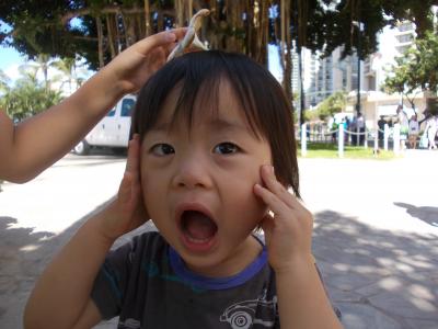 &#39;13子連れ×2海外旅行　ワイハ・オアフ島編　その2