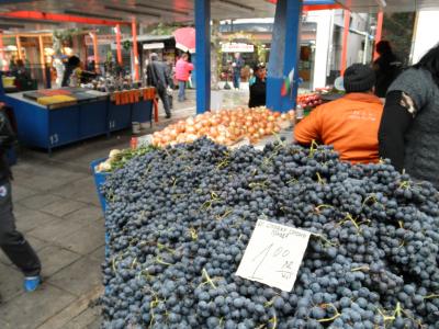 ブルガリア、マケドニア、アルバニア、ギリシャ4か国周遊