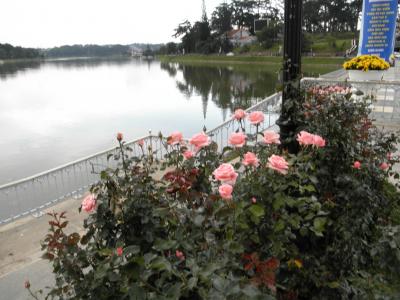 ベトナム縦断旅日記