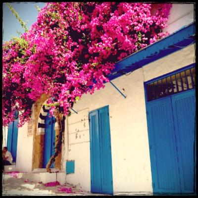 チュニジアは暑かった・・・2013夏②シディ・ブ・サイドにお泊り♪