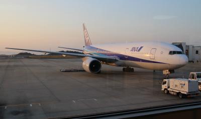 岡山空港から羽田空港へ全日空で飛ぶ空の旅