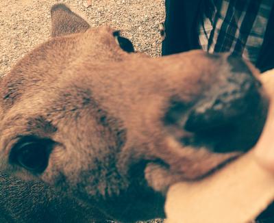 奈良【正倉院展】と京都1泊2日母娘旅☆①日目