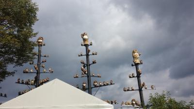 近江牛&信楽焼忍者の里食べ歩きの旅日帰りバスツアー