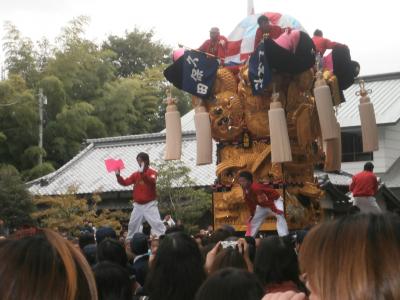 2013年10月今治遠征と新居浜太鼓祭り見物　～鬼嫁と子鬼２匹付～