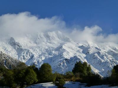ニュージーランド~ワインの旅2