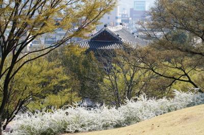 2011春、韓国旅行記23(15/32)：晋州、晋州城、北将台、晋州城から海印寺へ