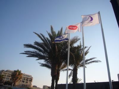 ヘルツェリア滞在 死海とマサダ遺跡