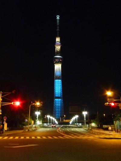 東京スカイツリーが見たい！