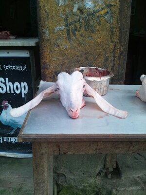 ジリからゴーキョピーク　弾丸トレッキング　１０日間