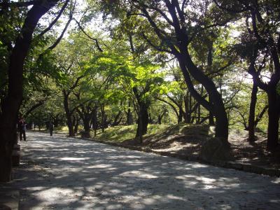 北区王子の飛鳥山公園散策