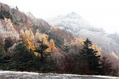 信州・南志賀「山田牧場」三段紅葉！！