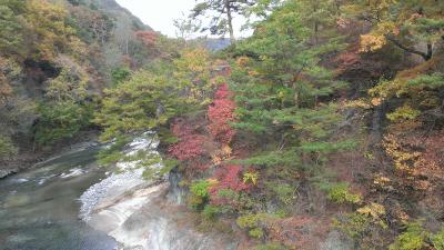 吹割の滝で紅葉見物、リンゴ狩りと柿狩り体験
