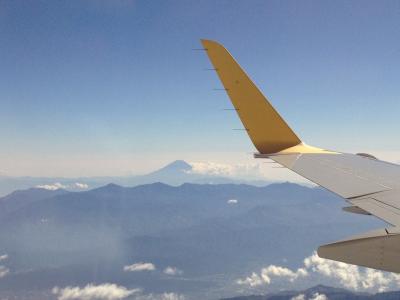 盛岡出張　空から富士山