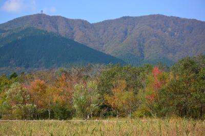 箱根仙石原　紅葉が始まった箱根湿生花園　グレインの美味しいランチ　２０１３年１１月