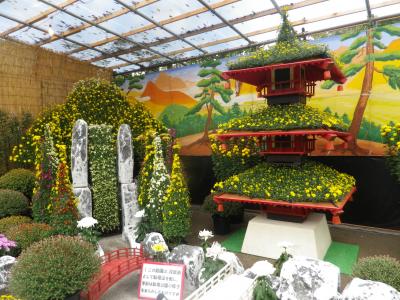 信州須坂の豪商の館「田中本家」と臥竜公園の菊まつり