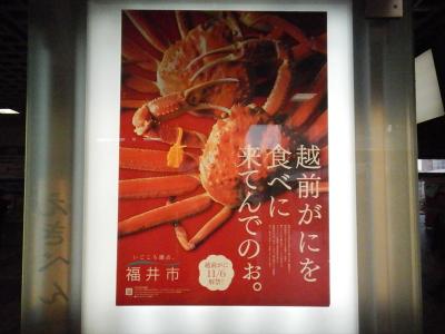 福井と言えば 越前カニと勝山市恐竜の里。