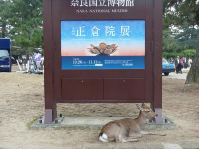 第65回正倉院展に行きました