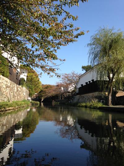 想像以上の八幡掘!!