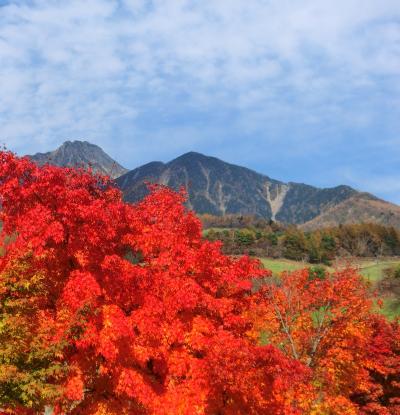 秋高し清里