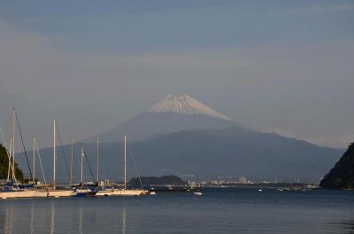 富士を見ながら南下…沼津市内　２０１３.１１．０９