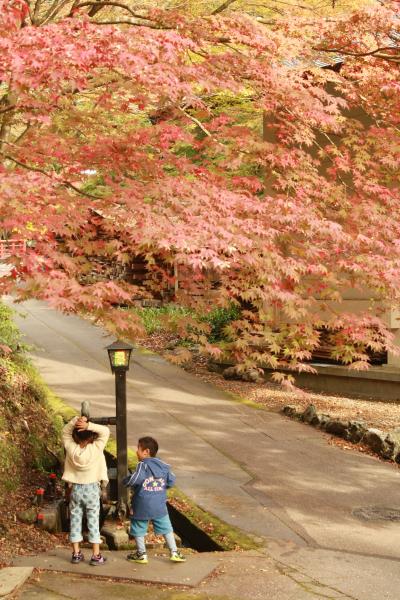 少し早い　紅葉。　両界山　横蔵寺。