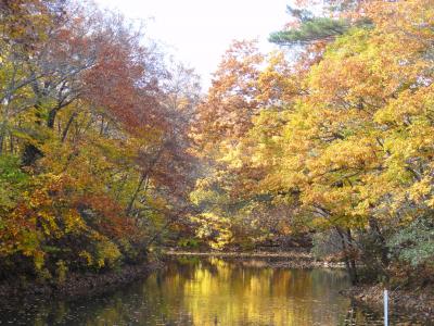 もみじ散策帖 ～秋の道南２０１３編 大沼の黄葉と洞爺湖湖上花火～二日目