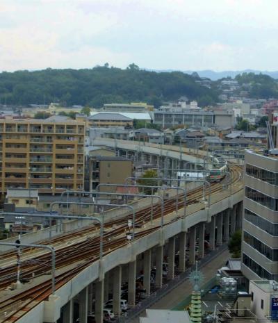 ２０１３　奈良旅ー４　ＪＲ奈良駅付近　夕刻散歩