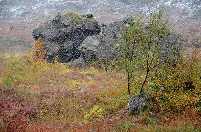 ★秋のアイスランド車旅（９）紅葉に吹雪のミーヴァトン湖