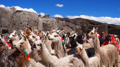 ペルー・ボリビア・チリ／7日目クスコ