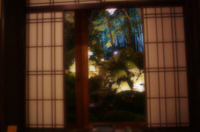 紅葉に感動＾＾