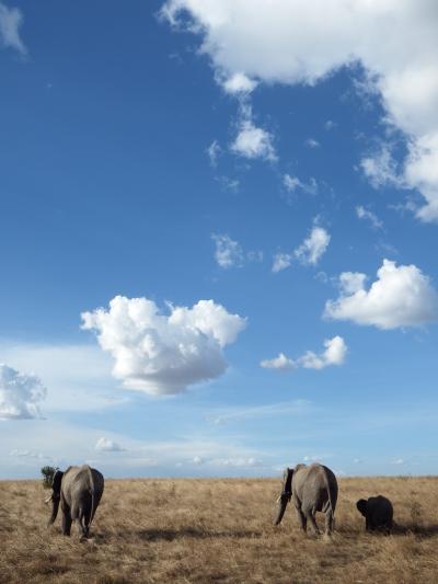 ケニア　サファリの旅　３