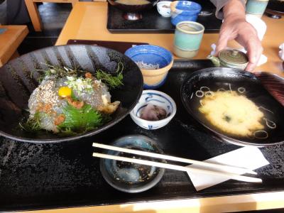 伊豆合宿第２弾・３日目茅ヶ崎網元料理　生シラス丼