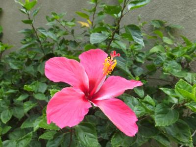 ちびっこ夫婦の大冒険！新婚旅行inバリ島☆5日目 ＆6日目2013.10