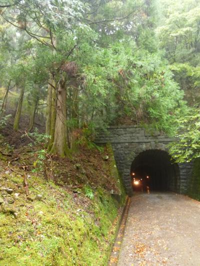 秋の伊豆　愛犬と一緒の旅♪　Ｖｏｌ６（第２日目）　☆天城峠：雨の天城越え～♪