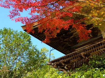 ２０１３　奈良旅ー７　素晴らしき紅葉の園成寺さん　下