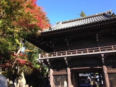 お気軽に高尾山で紅葉狩り