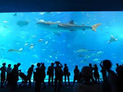 沖縄２泊３日の旅