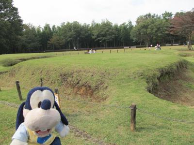 グーちゃん、大塚・歳勝土遺跡へ行く！（遺跡よりもドングリ！編）