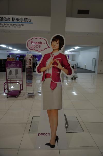 香港 実質1日　ピーチで行く弾丸旅行