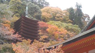 2013 紅葉の談山神社