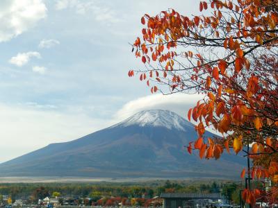 山中湖に集合 \(・o・)／