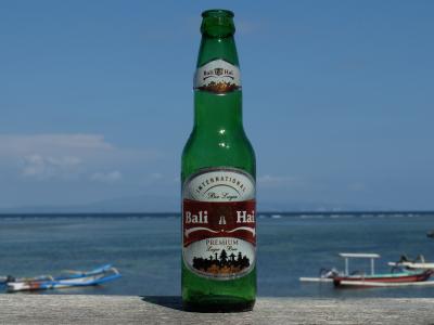 13年秋バリ　まとめ