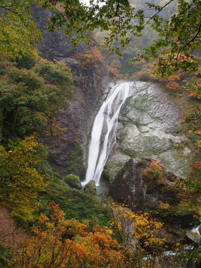 新潟の旅　滝だ、紅葉だ、温泉だ（１）　滝メグラーが行く１６９　雨の鈴ヶ滝・日本の滝百選87本目