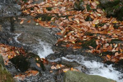 2011秋、韓国旅行記24(7/35)：大邱、八公山自然公園、桐華寺、33メートルの薬師如来石像