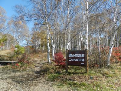 １泊弾丸観光、峰の原高原編♪