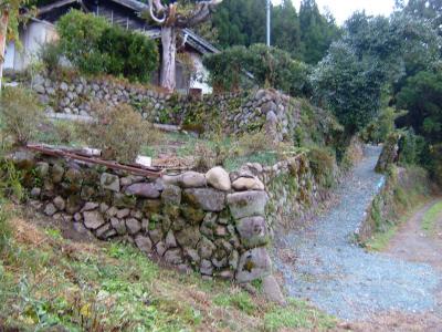 山奥の博物館、博物館森